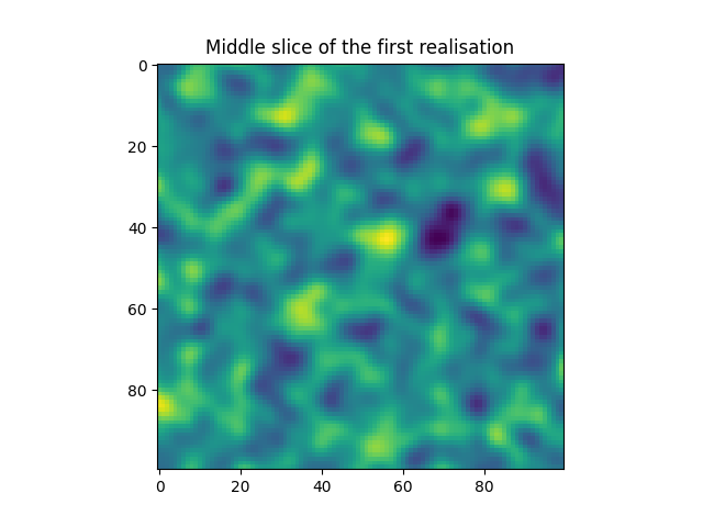 Middle slice of the first realisation