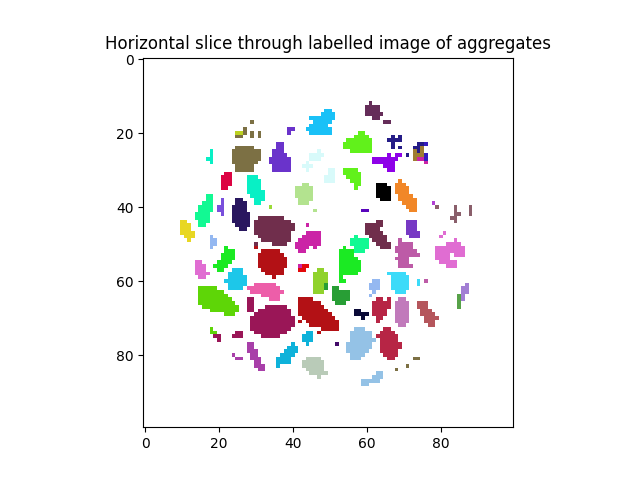 Horizontal slice through labelled image of aggregates