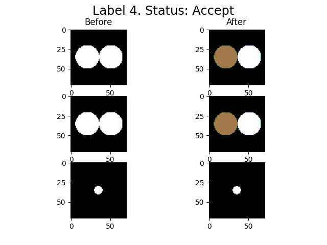 Label 4. Status: Accept, Before, After
