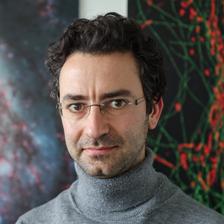 Edward Andò